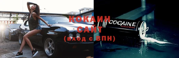 индика Волгодонск