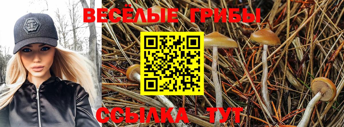 Псилоцибиновые грибы GOLDEN TEACHER Сочи